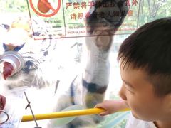 -栾川竹海野生动物园