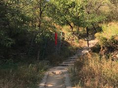 -蟠龙山长城景区