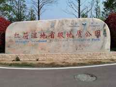 -微山湖红荷湿地景区
