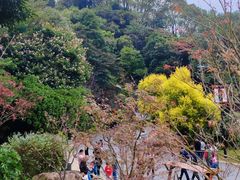 -广州市帽峰山景区