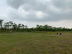 -春花秋色城市公园