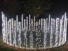 -北江夜游黄金1号1029豪华游艇