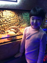 -未来动物城动物主题公园(大悦城店)