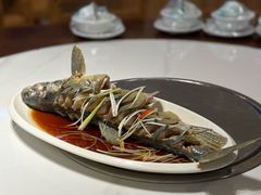 -乡土特色.冷锅鱼.牦牛肉火锅
