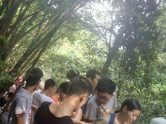 -牛鱼嘴原始生态风景区