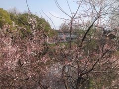 -太子山公园(园东路)