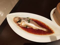 -京香轩·中餐厅(上海中庚聚龙酒店)