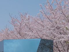 -龙美术馆(西岸馆)