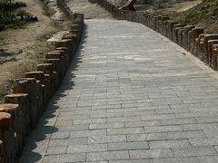 -白水寺森林公园