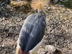 -济南野生动物世界