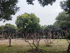 -汉水公园