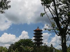 -深圳市中科院仙湖植物园