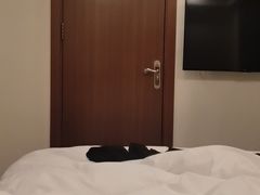-宜春明月山维景国际温泉度假酒店