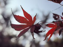 -木塔寺遗址生态公园