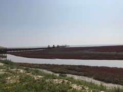 -红海滩国家风景廊道