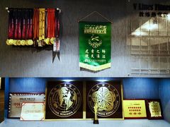 -国际咏春拳联合会拳馆俱乐部