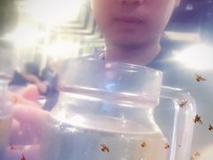 -老头儿油爆虾(星光一期店)