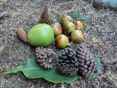 -白塘生态植物园