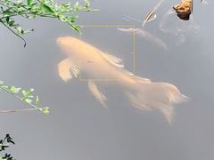 -金银湖国家城市湿地公园