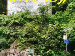 -安吉龙王山风景区