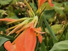 -三圣花乡旅游区