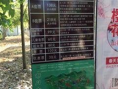 -南丹山森林王国