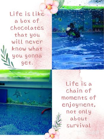 一年中最喜欢的季节到来了，因为夏季可以游泳