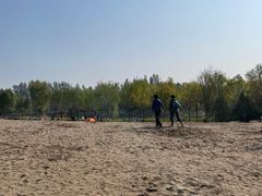 -东郊湿地公园