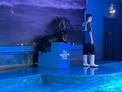 -石家庄海洋公园