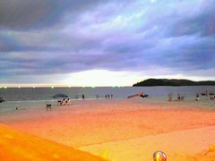 -真浪花园海鲜餐馆