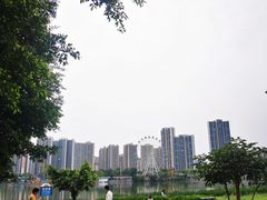 -飞来湖湿地公园