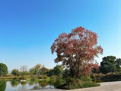 -良渚古城遗址公园