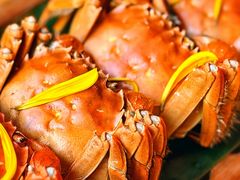 -成隆行·蟹王府(淮海店)
