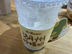 -猫的魔法密林(衣裳街店)