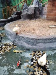 -Zoolung Zoolung动物主题公园(海信广场店)