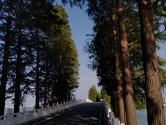 -东湖磨山景区