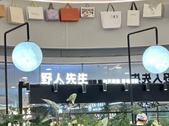 -野人先生Gelato(上海长宁龙之梦店)