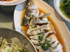 -松沪名灶·豆浆鱼头·新上海菜(飞航吾悦广场店)