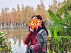 -白鹭湾湿地公园