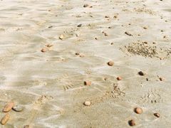 -嵊泗基湖沙滩