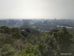 -杭州半山国家森林公园