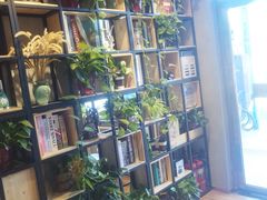 -ZING COFFEE 镜咖啡