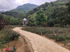 -广州市石门国家森林公园