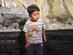 -湖南省地质博物馆