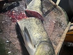-好灶头妈妈菜·柴火灶台鱼·千岛湖土菜地标美食