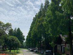 -太阳岛度假酒店