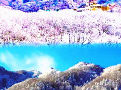 -洛阳伏牛山滑雪场