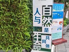 -华侨城湿地公园