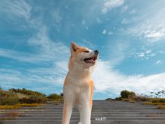 -天府广场