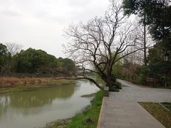 -兰亭风景区